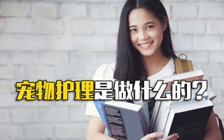 <strong>观澜富士康直招</strong>宠物护理是做什么的