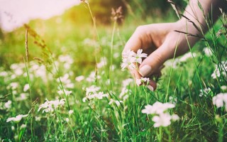 深圳富士康招聘要求菌物科学与工程专业就业前景及方向