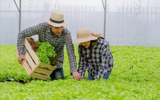 富士康直招小时工茶艺师证报考条件