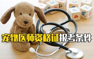 富士康官方招聘宠物医师资格证报考条件